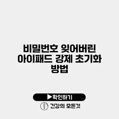 비밀번호 잊어버린 아이패드 강제 초기화 방법