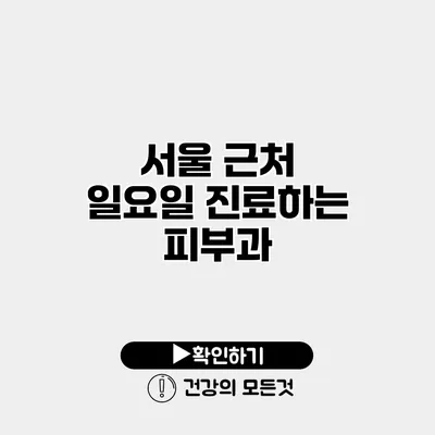 서울 근처 일요일 진료하는 피부과
