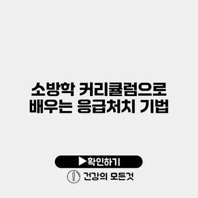 소방학 커리큘럼으로 배우는 응급처치 기법