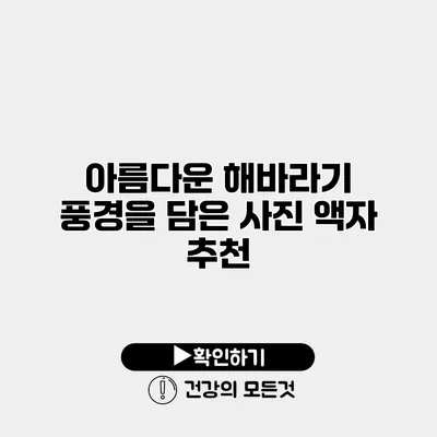 아름다운 해바라기 풍경을 담은 사진 액자 추천