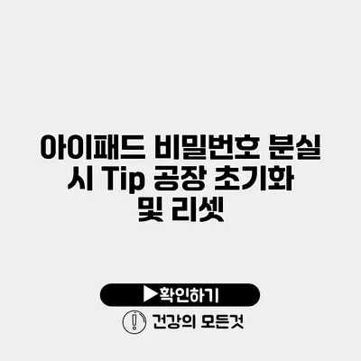 아이패드 비밀번호 분실 시 Tip 공장 초기화 및 리셋