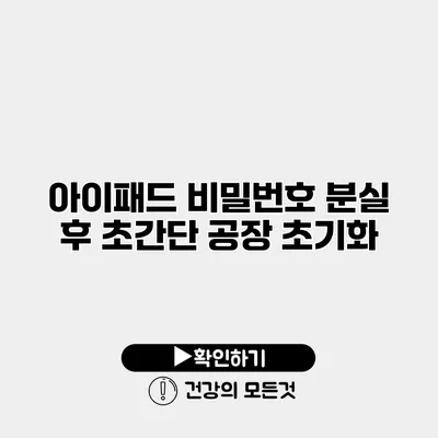 아이패드 비밀번호 분실 후 초간단 공장 초기화