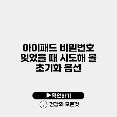 아이패드 비밀번호 잊었을 때 시도해 볼 초기화 옵션