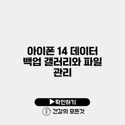 아이폰 14 데이터 백업 갤러리와 파일 관리