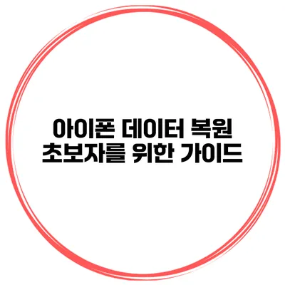 아이폰 데이터 복원 초보자를 위한 가이드