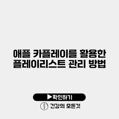 애플 카플레이를 활용한 플레이리스트 관리 방법
