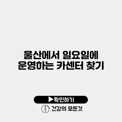 울산에서 일요일에 운영하는 카센터 찾기