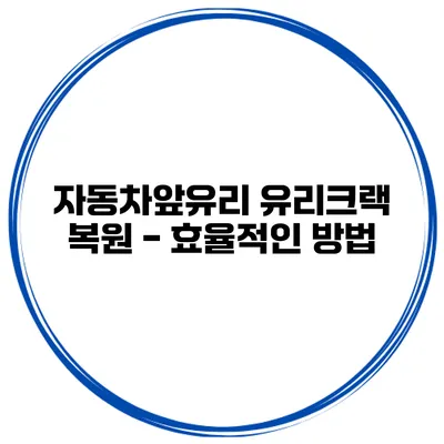 자동차앞유리 유리크랙 복원 - 효율적인 방법