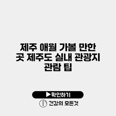 제주 애월 가볼 만한 곳 제주도 실내 관광지 관람 팁