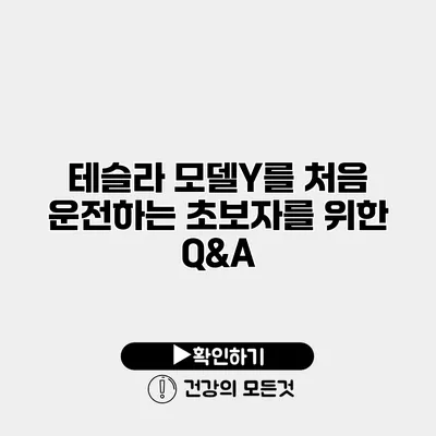 테슬라 모델Y를 처음 운전하는 초보자를 위한 Q&A
