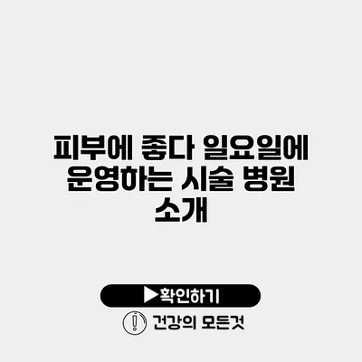 피부에 좋다 일요일에 운영하는 시술 병원 소개