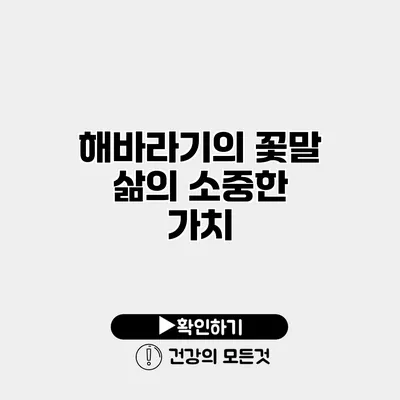 해바라기의 꽃말 삶의 소중한 가치