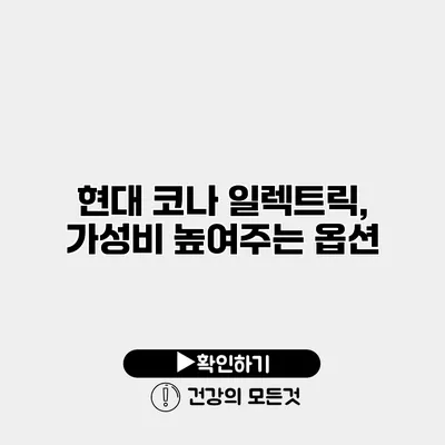 현대 코나 일렉트릭, 가성비 높여주는 옵션